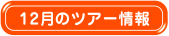 １２月のツアー情報